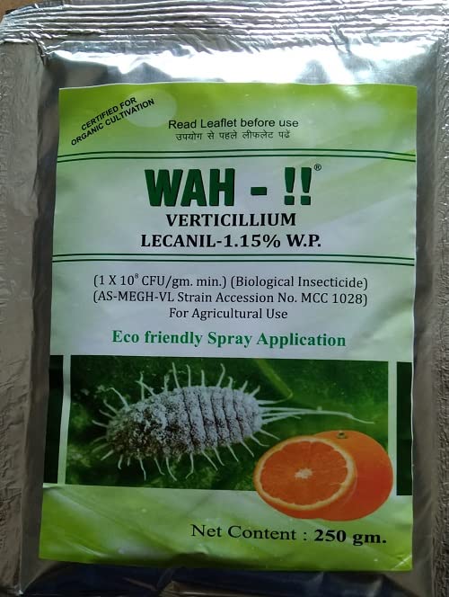 WAH-!! Verticillum lecanni 1.15% For Mealy Bug In Citrus Plant Long Term Control Certified Organic - 250g-image-48
