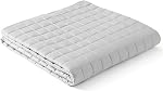 YnM Cooling Weighted Blanket for Adults, 20lbs Heavy Bed Throw for One Person of 190lbs, Perfect for Hot Sleepers or Warm Climates with Rayon/Glass Beads(60x80 Inches, Queen Bed, Blue Grey)