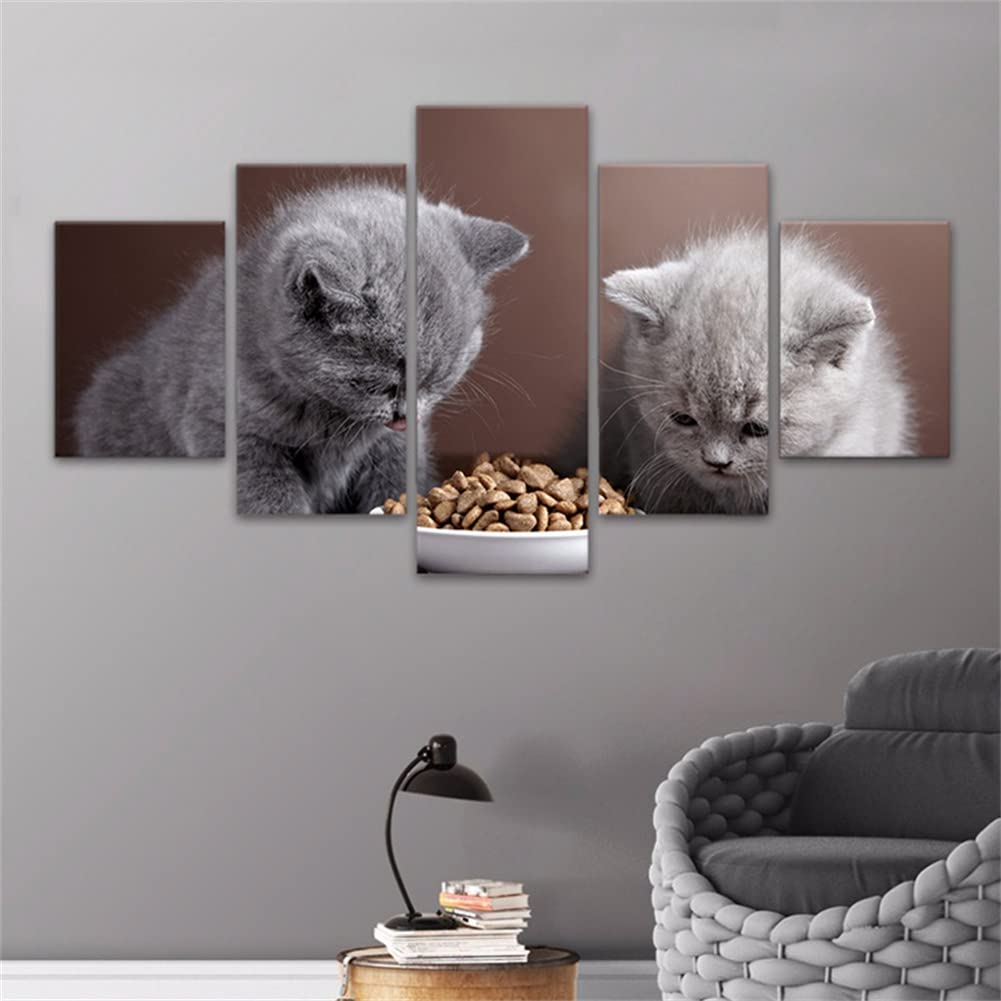 Diamond painting adultes 5 pièces kits complet broderie diamant grand format chats strass carrés