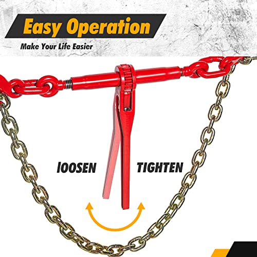 Digank LB-SC-3/8-4 Chain Binder 3/8 Inch -1/2 Inch Grade 70 And 3/8"×10Ft Chains Includes (2) Binders And (2) Chains thumb #3