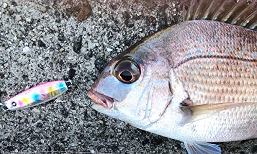 アブガルシア(Abu Garcia) ソルティーステージ マイクロジグフラット (SALTYSTAGE Micro Jig Flat) 2G グリーンゴールド SSMJF2-GRG 6枚目