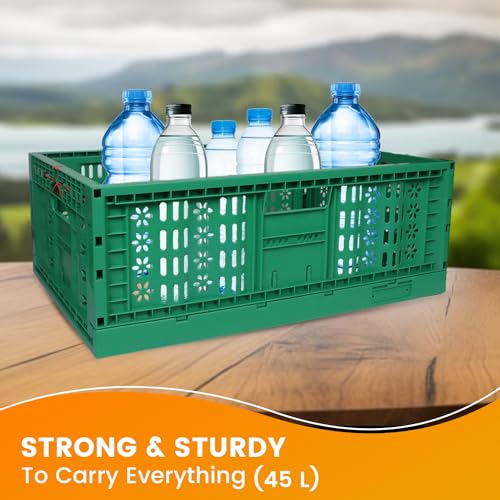 TEJAL 60 x 39 x 21 cm Caixa de armazenamento dobrável - verde (1 unidade - 45 litros) Cestos de pare