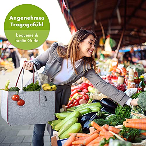 Tebewo Grote vilten boodschappentas met handvat, boodschappenmand, ook als opvouwbare tas voor open haard-hout; veelzijdige draagtas, voor het opbergen van speelgoed, kleur grijs - Image 6