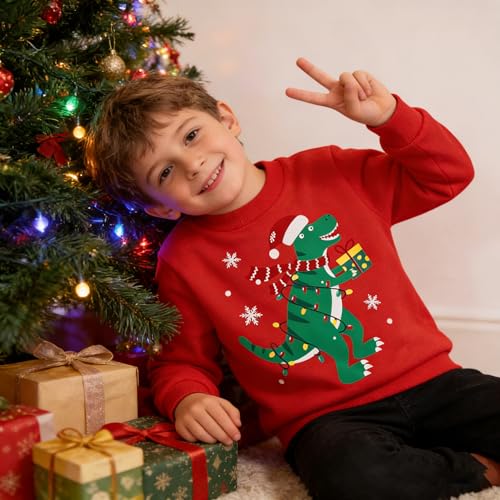 Image of Akyzic Toddler Boys Sweatshirts Cotton Crewneck Truck Shirt Dinosaur Long Sleeve Pullover Tops Tees 2-8T