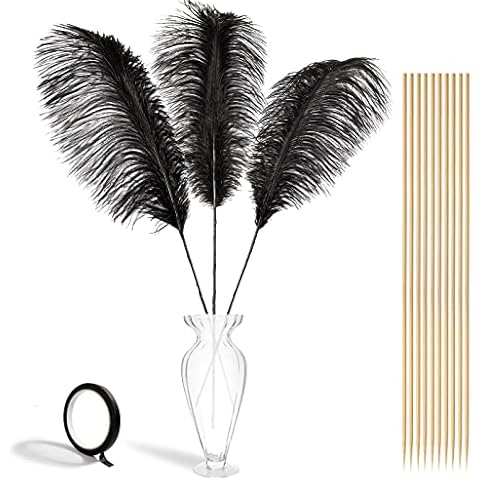 Ostrich Feathers Bulk 10 Pieces DIY Crafting Feathers for Crafts Flowers Vase Home Decorations Wedding Party Centerpiece Black Cover