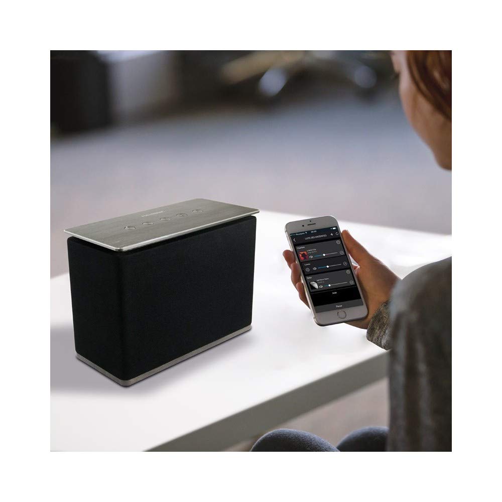 Metronic 477086 Speaker Internet Radio Wi-Fi Bluetooth Multiroom con Porta USB di Ricarica, Ingresso Cuffie 3,5mm - Nero