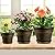 Plant Planters Pots Set of 4 Pack 9 Inch, Plastic Flower Pot for Indoor Plants with Drainage Holes & Trays, Resin Decorative Container Sets with Saucer for House Outdoor Garden Planters Dark Gold