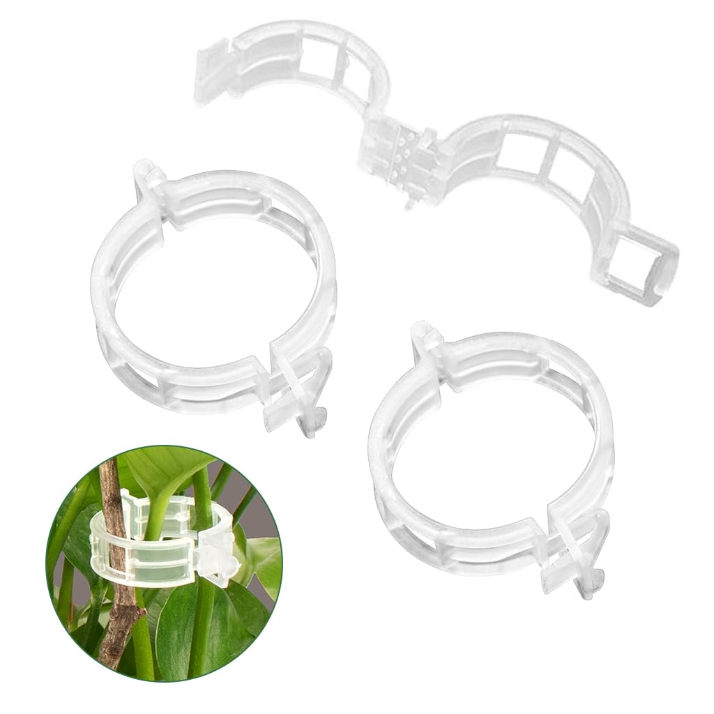 HASTHIP® 300Pcs Gardening Supportive Ring Clips - Creeper Plant Support - Plant Sticks Support for Vines Hook & Vines Climbing Clip - Plants Support Clips for Flowers, Vegetables, Plants (B0CZ9C8BNV) Amazon Price History, Amazon Price Tracker