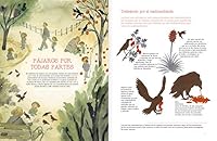 Vuelo de pájaros americanos 9563640535 Book Cover