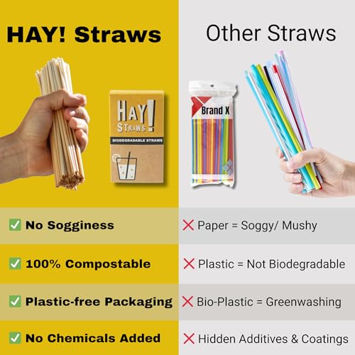Pitillos desechables HAY! STRAWS, 6 pulgadas, 250 unidades miniatura 6
