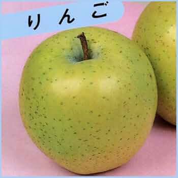 Amazon | 青リンゴ(林檎)苗木 王林（矮性台木） 接木1年生苗 | 果物