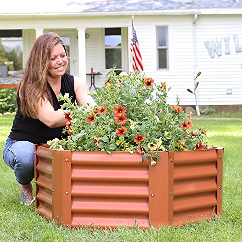 Sunnydaze 41" Hexagon Steel Raised Garden Bed Kit - Metal Planter For Plants, Flowers, Vegetables And Herbs - Brown #TOP6