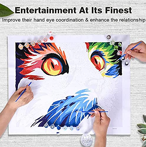 Minyose Pittura a Olio Fai da Te con i Numeri