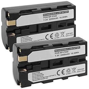 2X Akku NP-F550 mit Infochip für Sony CCD-TR./ DCR-VX. / DSC-CD. – Siehe Liste!