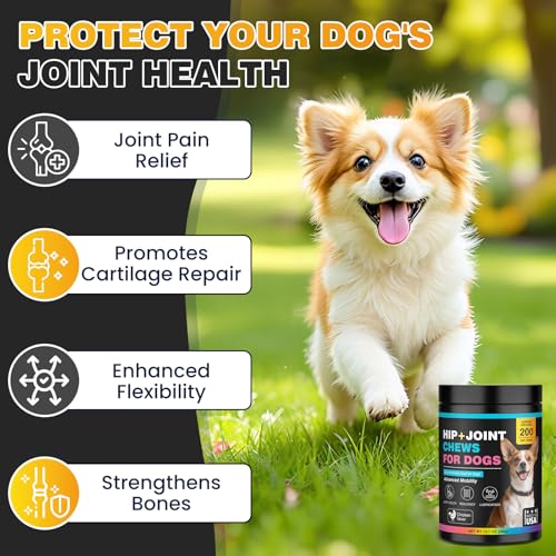 DANQAN Gelenktabletten Hund Arthrose Knochenschutz Tabletten Mit Hund Glucosamin Chondroitin Joint UnterstüTzt Die Gelenke Knochen FüR Bewegungsfreiheit FlexibilitäT 400g Huhn