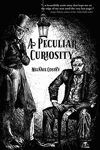 A Peculiar Curiosity view 2