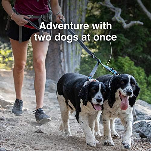 leashes for two dogs