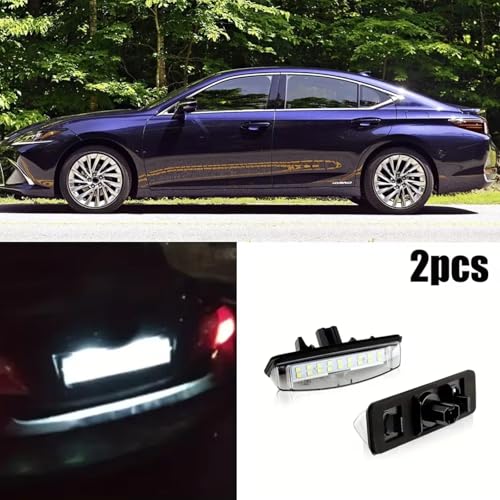 Piloto de matrícula de alta visibilidad para Lexus ES330 y LS430 pack doble 3