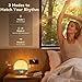 Vivilumens Sunrise Alarm Clock, Gentle Wake-Up Light & Sound Machine, Dual Alarms for Heavy Sleepers Adults, Natural Sounds, RGB Mood Light, Dimmable Bedside Night Lamp Ideal for Bedroom & Gifts