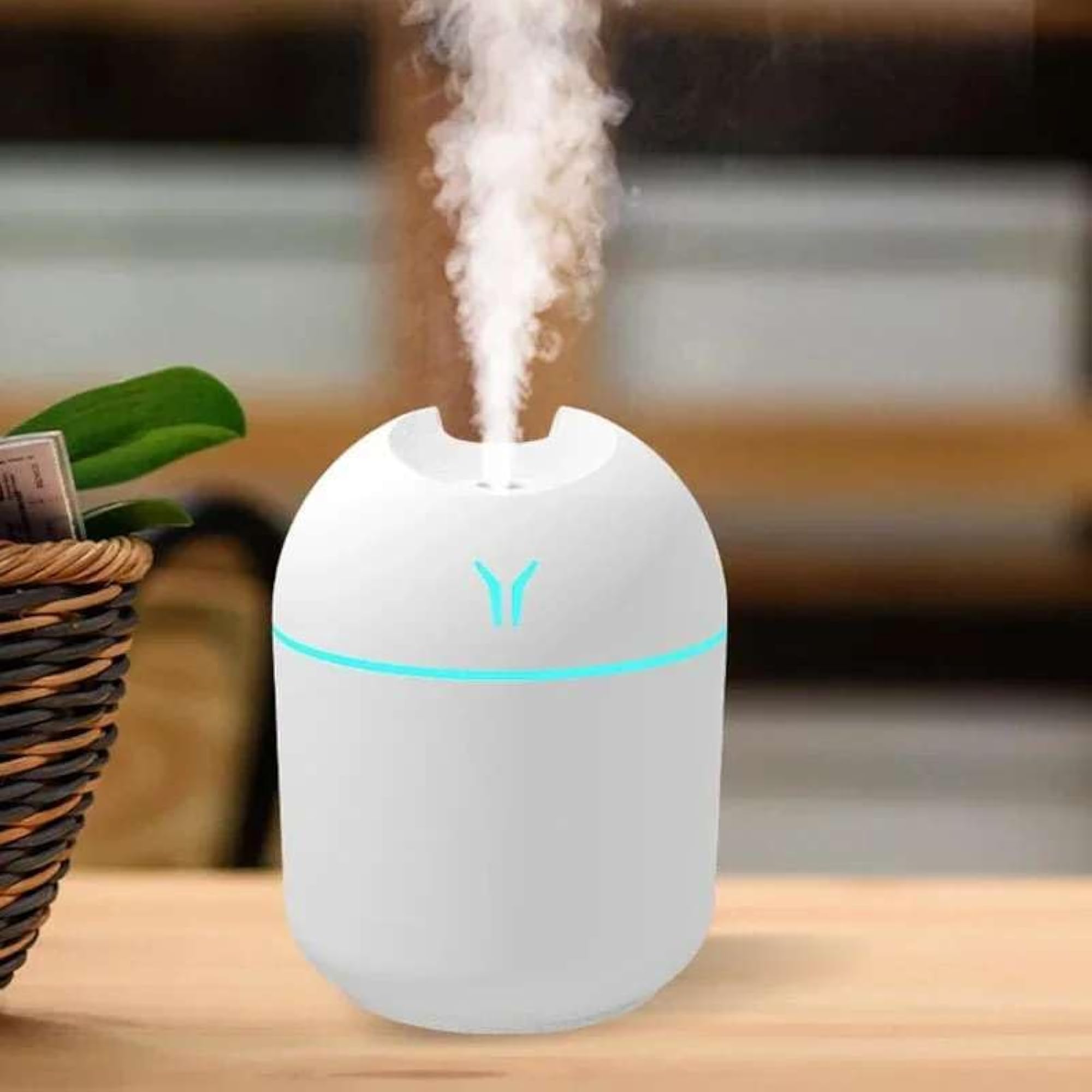 Mini USB Ultrasonic Diffuser with LED Night Light