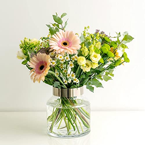 EDZARD vaas Gabi, handgeblazen kristalglas met platina rand, hoogte 19 cm, hoogte 17 cm - Afbeelding 4