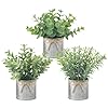 Mkono mini fake plants in farmhouse galvanized metal pots 3 pack small potted artificial plant eucalyptus for laundry room bathroom shelf table decor  urban country home decor