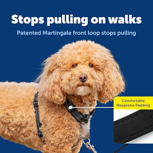 Image of PetSafe 3in1 Harness, Small, Black