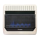 PROCOM HEATING MGT30BF 30,000 BTU Dual Fuel Blue Flame Gas Wall Heater