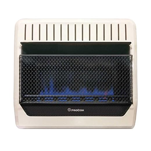 PROCOM HEATING MGT30BF 30,000 BTU Dual Fuel Blue Flame Gas Wall Heater