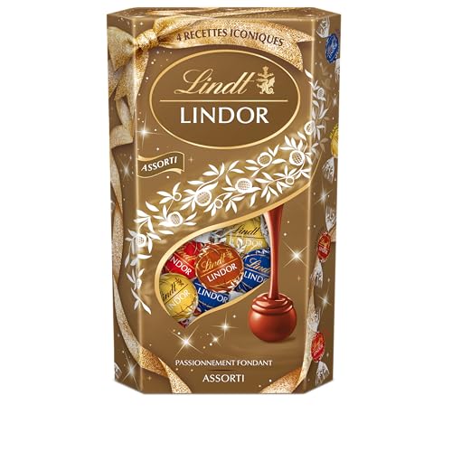 Lindt - Cornet LINDOR - Assortiment de Chocolats Lait, Blanc, Double Chocolat, Caramel Pointe de Sel - Cœur fondant - Optimal pour Noël, 562g Lindt - Cornet LINDOR - Assortiment de Chocolats Lait, Blanc, Double Chocolat, Caramel Pointe de Sel - Cœur fondant - Optimal pour Noël, 562g
