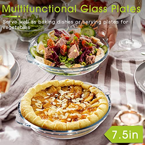 Zyer Glass Pie Plate Small Pie Dish Small Pie Pan For Baking Glass Pie Dish For Baking, 7.5 Inch 2Pack #TOP4