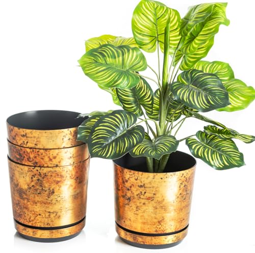 Korad Conjunto De 4 Macetas Con Plato De 16 Cm De Diámetro, Modelo 033 - Óxido Moderno, Alto Brillo, Estilo Clásico, Rústico, Loft, Para Plantas, Hierbas, Flores Y Composiciones Vegetales. Korad Conjunto De 4 Macetas Con Plato De 16 Cm De Diámetro, Modelo 033 - Óxido Moderno, Alto Brillo, Estilo Clásico, Rústico, Loft, Para Plantas, Hierbas, Flores Y Composiciones Vegetales.