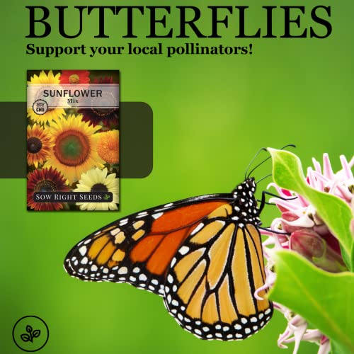 Sow Right Seeds - Large Full-Color Packet Of Mixed Sunflower Seed To Plant - Non-Gmo Heirloom - Instructions For Planting - Wonderful Gardening Gift (1) #TOP2