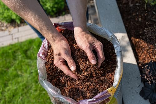 Floragard Mulch Pinienrinde 2-8 mm 20 L - superfein - dekorativer Bodenbelag - unterdrückt Unkrautwuchs - naturbelassen - für mediterranes Flair - auch zur Kübel-Abdeckung