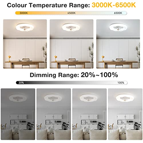 Ventilateur de plafond réversible été hiver à éclairage LED
