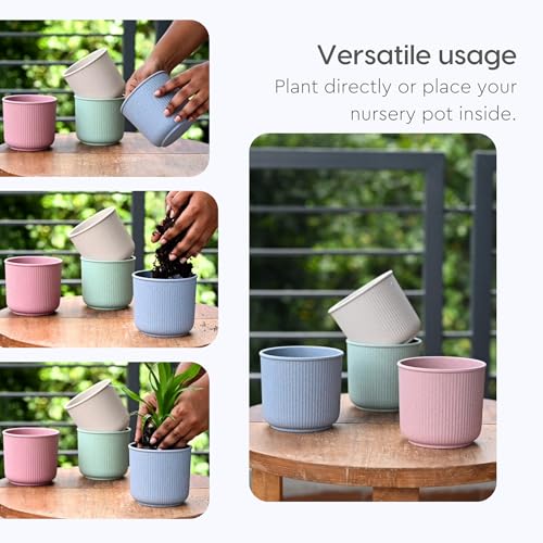 Image of Eha Earth Friendly Statement Pot 4 Inch Pots and Planters with Growmix |Set of 2| Table Top Planters for Gifting |Bamboo Based | Planter for Indoor & Balcony Window Flower Pots| Sand Castle