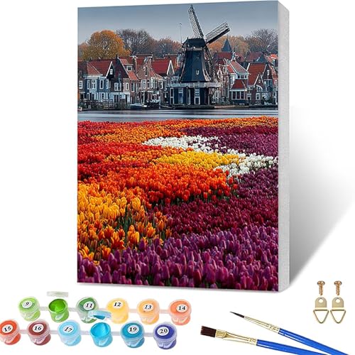 �������G �z���t�� ��, DIY ���G �L�����o�X ��, Paint by Numbers for Adults �y�C���g�o�C�i���o�[, �����h��G �܂� �A�N�����y�C���g������ �u���V, �K�؂� ��l ���S��, �M�t�g ����, �ƒ��I�t�B�X�̕Ǒ���, 