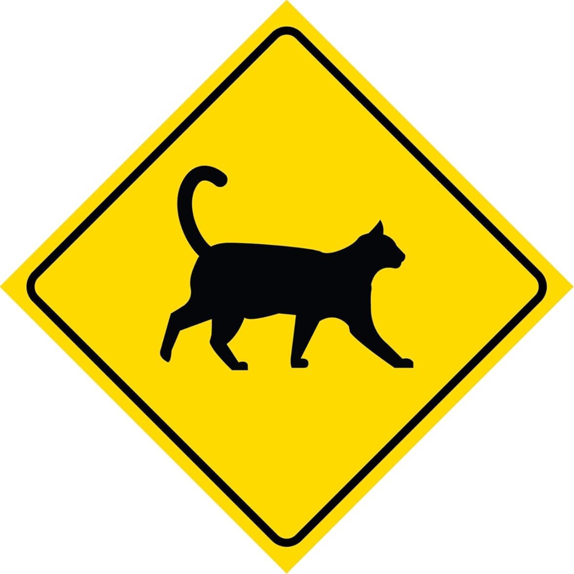 Metal warning sign 12x12 inches New Tin Sign Yellow Diamond Cat Crossing Signs Square Sign Indoor and outdoor decorations