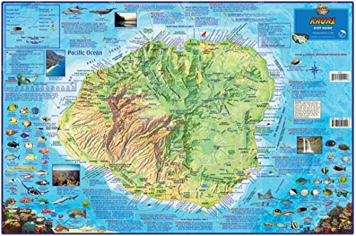 Carte murale États-Unis poster panoramique 76x120 USA wallpaper décorateur