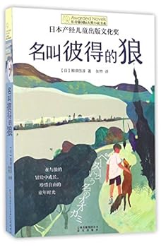 Paperback ??????/??????????? [Chinese] Book