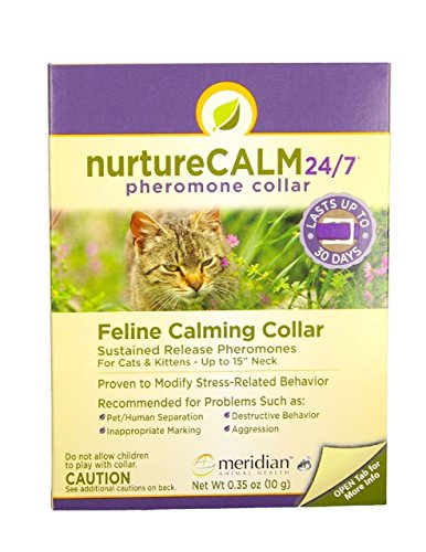 Find The Best Pheromone Collar For Cats Reviews & Comparison - Katynel