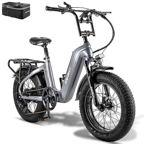 Fafrees F20 Master E-Bike Rahmen aus Kohlefaser 48V 22.5AH Akku Elektrofahrräder 20'*4.0 Zoll Fat Tire E-Mountainbike Maximales Drehmoment 60 Nm 7-Gang