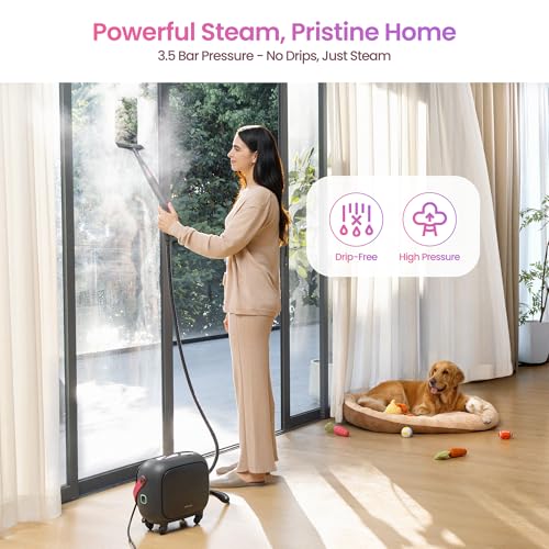 commercial pressure steam cleaner System product image