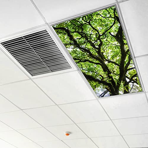 Image of Fluorescent Light Covers for Classroom Office - Eliminate Harsh Glare Causing Eyestrain and Headaches. School-Office-Indoor Ceiling Lamp DecorationGiant Trees