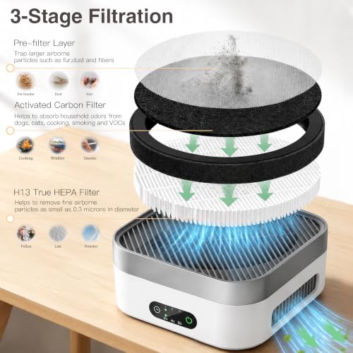 View 4