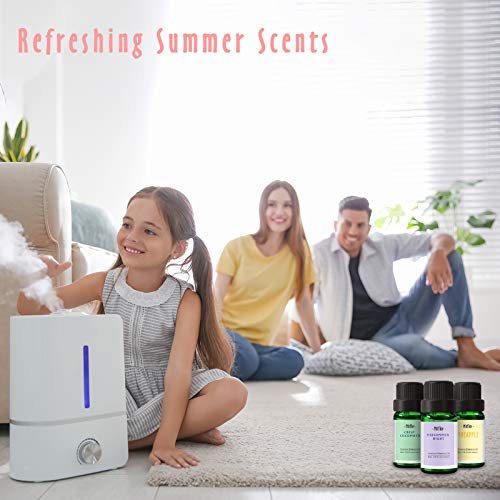 https://m.media-amazon.com/images/I/51e0fUTLabL._SL500_.jpg