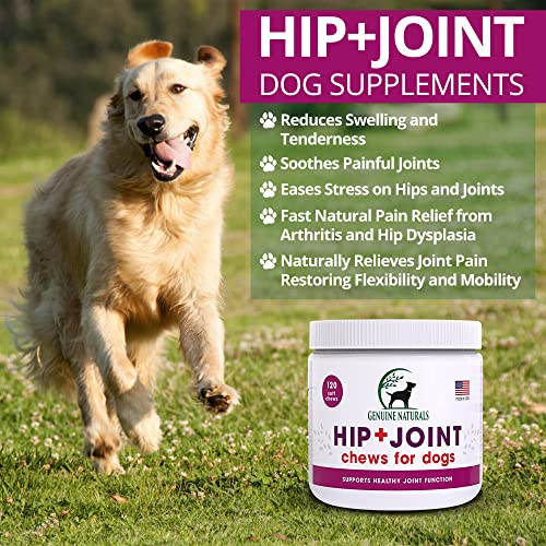 Genuine Naturals™ Hip And Joint Supplement For Dogs - Glucosamine Chondroitin, Msm, Organic Turmeric Soft Chews, Dog Vitamins, Supports Healthy Joint Function And Helps With Pain Relief,120 Count #TOP2