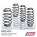 Eibach Eibach Pro-Kit (AD1) E10 85 043) – 22