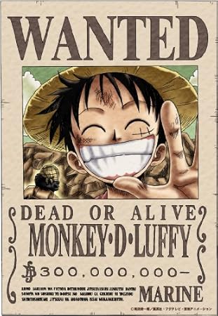 人気デザイナー ワンピース 手配書ポスター16個 One Piece ポスター Cdia Es