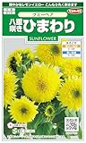 サカタのタネ 実咲花 八重咲きひまわり グミーベア